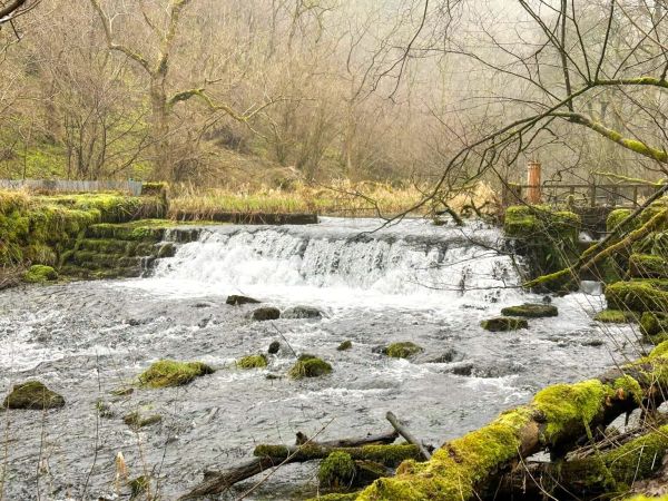 Lathkill Dale